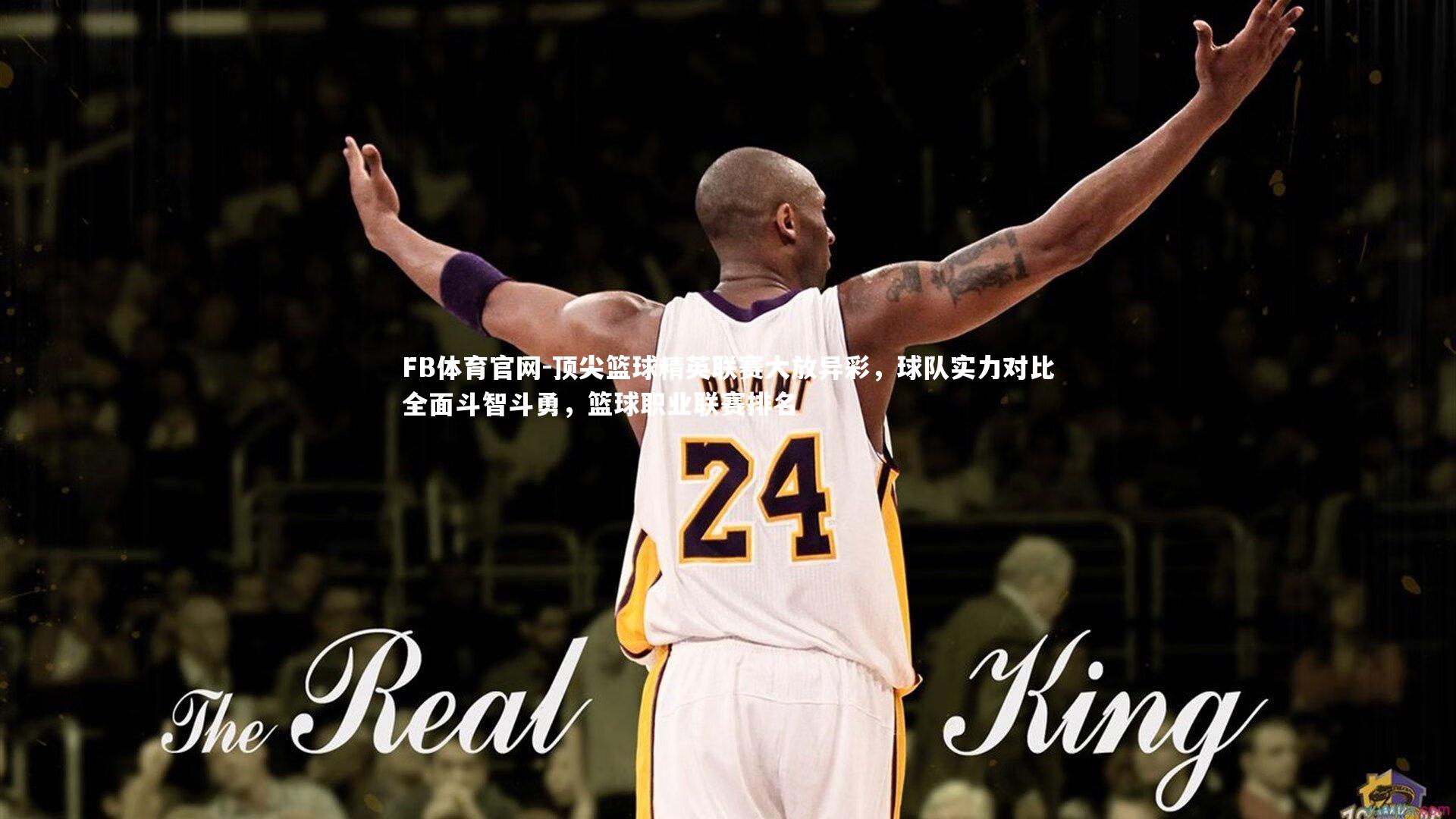 顶尖篮球精英联赛大放异彩，球队实力对比全面斗智斗勇，篮球职业联赛排名