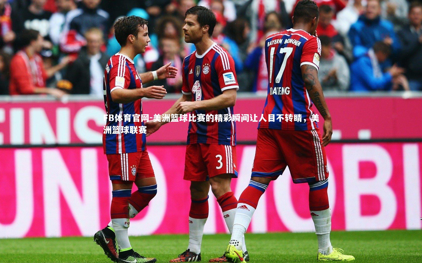 FB体育官网-美洲篮球比赛的精彩瞬间让人目不转睛，美洲篮球联赛